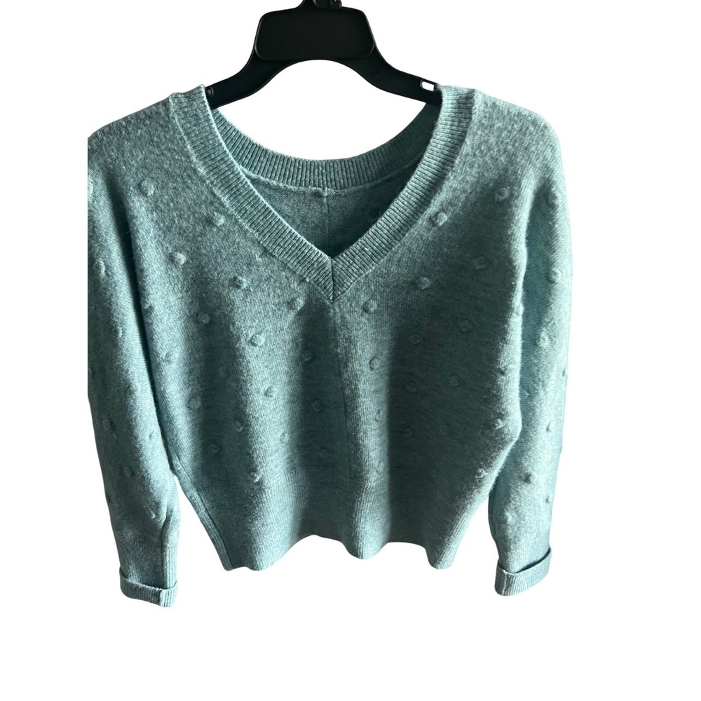 William Rast Womens Sweater Medium Blue V Neck Long Sleeve Knit Pullover